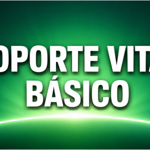 Soporte vital básico